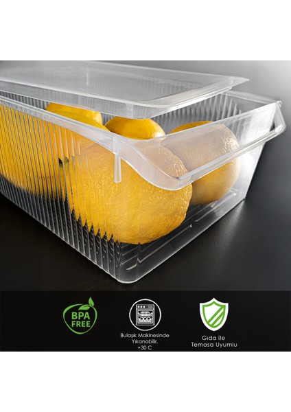 2 Adet Kapaklı Saklama Kabı - Organizer Düzenleyici Meyve Sebze Erzak Kabı Saklama Kutusu 6 Litre modelleri