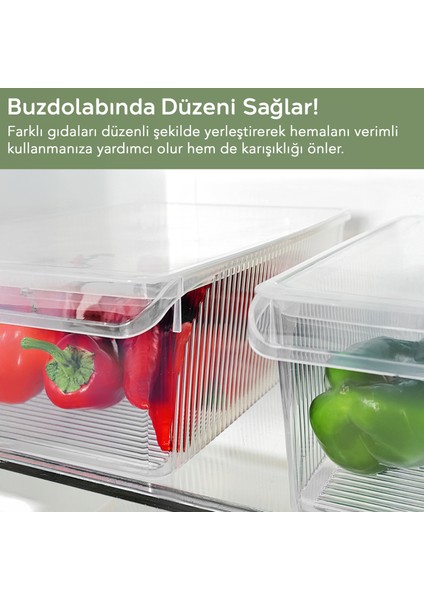 2 Adet Kapaklı Saklama Kabı - Organizer Düzenleyici Meyve Sebze Erzak Kabı Saklama Kutusu 6 Litre fırsatları