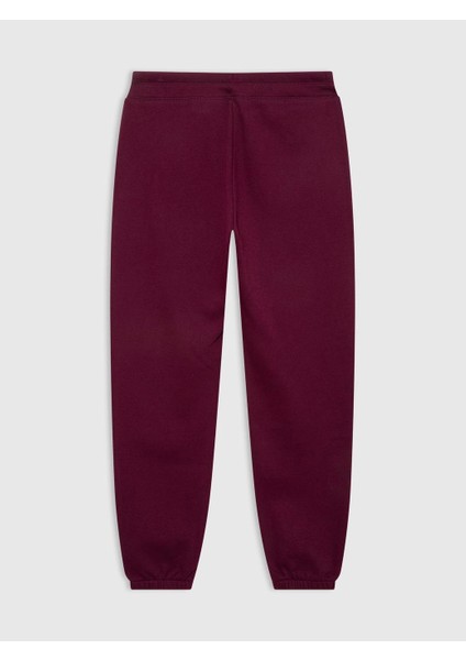 V-Gap Heritage Jogger Kadın Eşofman Alt indirimleri