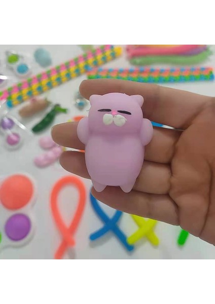 Mor Kedi Stili 2021 Fidget Oyuncaklar Paketi - Oyuncak Seti Mermer Hediye Yetişkin Kız Çocuklar Duyusal Oyuncağı Kutusu (Yurt Dışından)