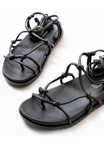 1001-1001 Siyah Bilekten Bağcıklı Kadın Sandalet fiyatları