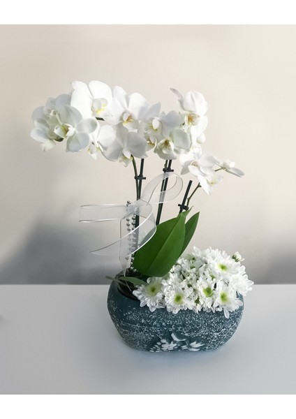 - Seramik Vazoda Çift Dal Mini Beyaz Orkide