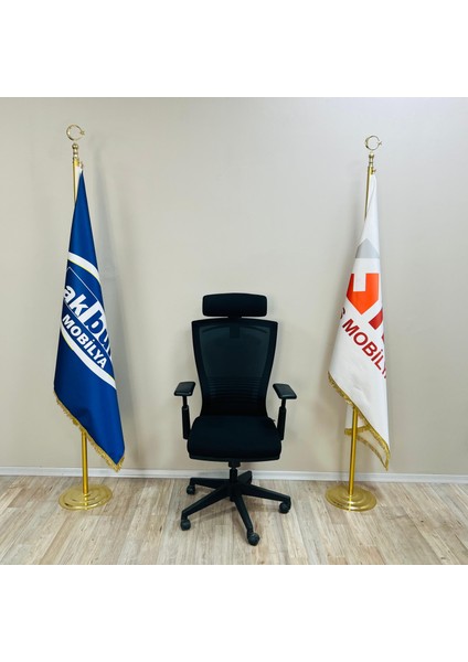 Hanger Casella Fileli Oynar Kollu Ofis Ev Yönetici Koltuğu Fırat Ofis