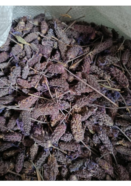 Karabaş Otu 100 gr ( Doğal Kurutulmuş Yeni Mahsül Taze Ürün )