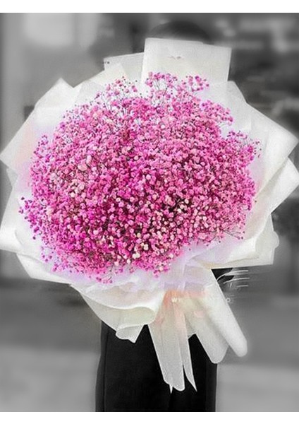 - Pembe Cipsofilya Buketi