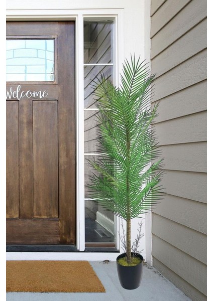 Yapay Ağaç Palmiye 155*50CM 30YAPRAK Areka Ağacı Siyah Saksıda Tek Gövdeli modelleri