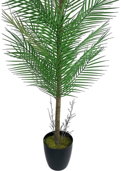 Yapay Ağaç Palmiye 155*50CM 30YAPRAK Areka Ağacı Siyah Saksıda Tek Gövdeli fırsatları