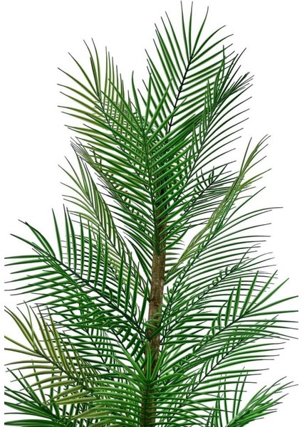 Yapay Ağaç Palmiye 155*50CM 30YAPRAK Areka Ağacı Siyah Saksıda Tek Gövdeli indirimleri