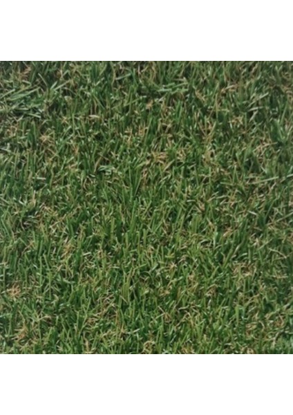 Uv Dayanıklı Yeşil Çim Halı Bahçe ve Balkonlar Için Şık Çözüm | 100 x 200 Ebat 40 mm Kalınlık