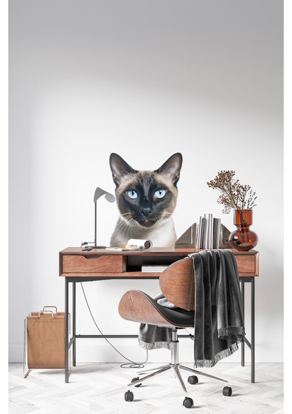 Kedi Duvar Stickeri | Çocuk Odası Duvar Stickeri | Kedili Duvar Dekorasyonu