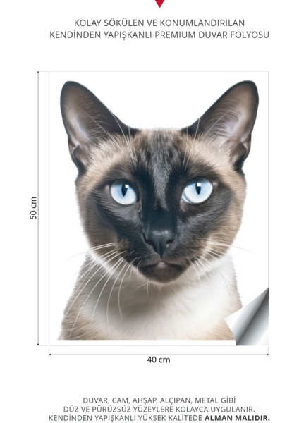 Kedi Duvar Stickeri | Çocuk Odası Duvar Stickeri | Kedili Duvar Dekorasyonu