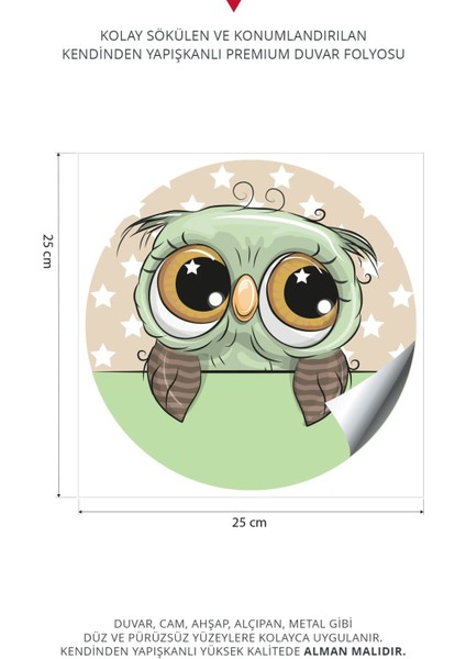 Sevimli Baykuşlar 4lü Duvar Stickeri | Baykuş Duvar Stickeri | Çocuk Odası Sticker fiyatları