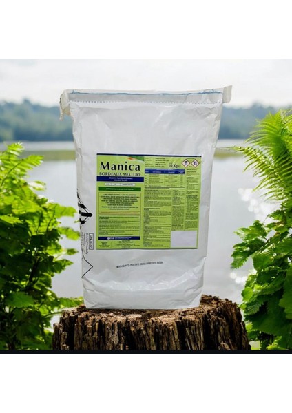 Lanceslink Manica