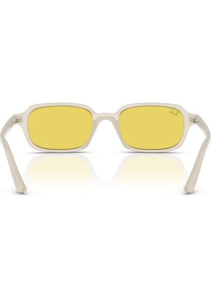 4455 68086D 52 Ray-Ban Zurı Güneş Gözlüğü