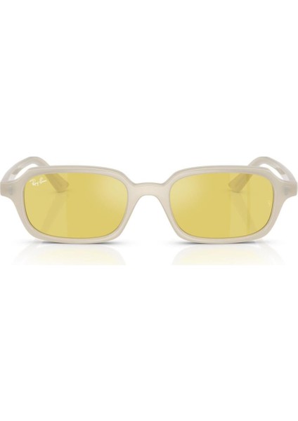 4455 68086D 52 Ray-Ban Zurı Güneş Gözlüğü