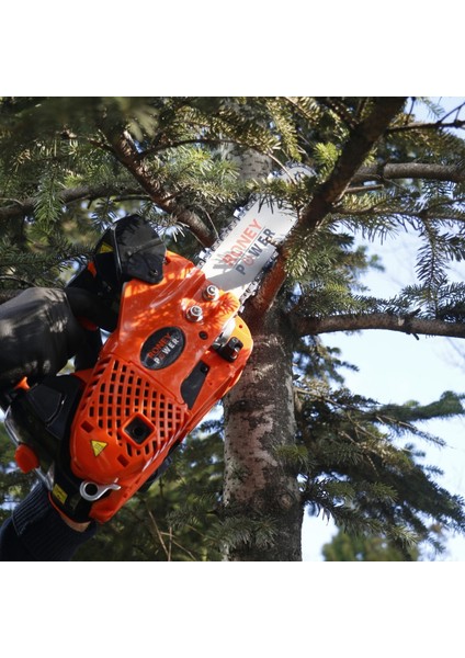 Benzinli Ağaç Kesme Motoru 25.4cc - CS 2501 fiyatları