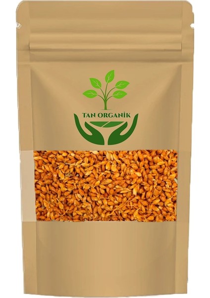 Süpürge Tohumu 100GR