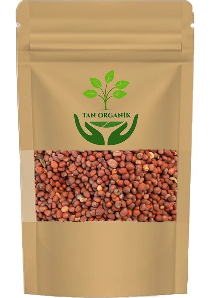Kara Turp Tohumu 500GR