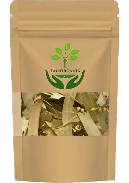 Okaliptus Yaprağı Doğal 250GR