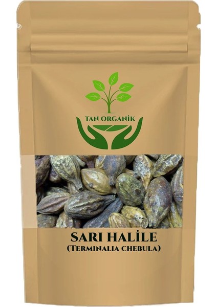 Sarıhalile Tane 25GR