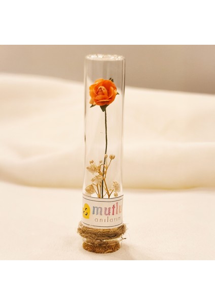 20 Adet Cam Tüp Içinde Kurutulmuş Turuncu Gül Detaylı Nikah Hediyeliği