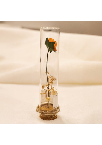 20 Adet Cam Tüp Içinde Kurutulmuş Turuncu Gül Detaylı Nikah Hediyeliği fiyatları