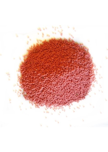 Yonca Tohumu Sunter Kaplamalı-Sertifikalı (1 Kg) fiyatları