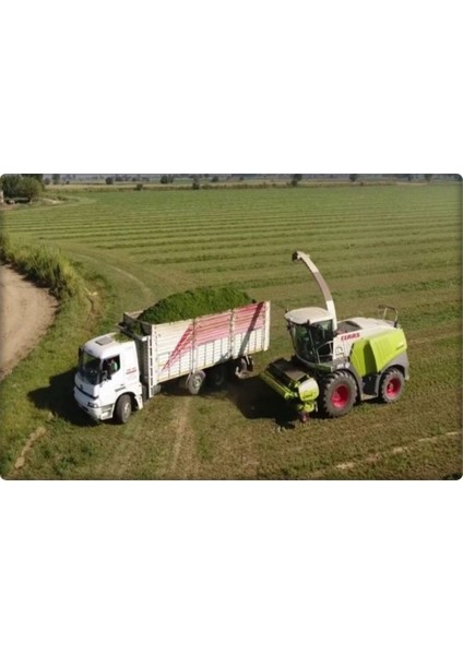 Yonca Tohumu Sunter Kaplamalı-Sertifikalı (1 Kg) indirimleri