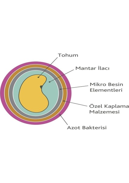 Yonca Tohumu- Kayseri Kaplamalı Yonca Tohumu 1 kg indirimleri