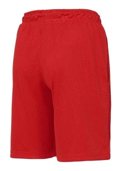 Erkek Şort Lifestyle MNS3032-CHR fiyatları