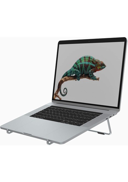 B1-14 Notebook ve Macbook Standı (Silver)