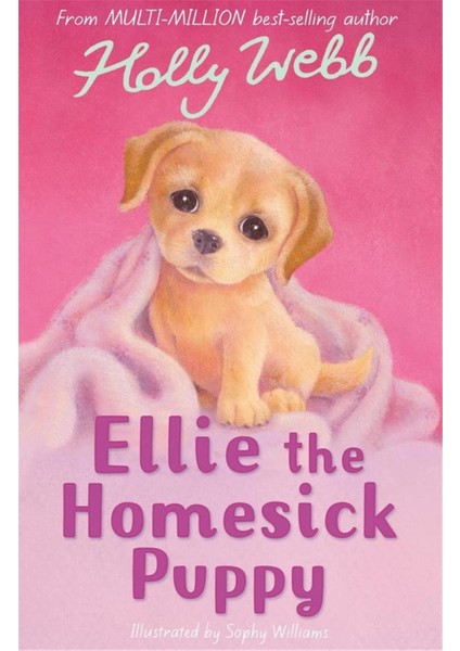 Holly Webb Animal Stories: Ellie The Homesick Puppy