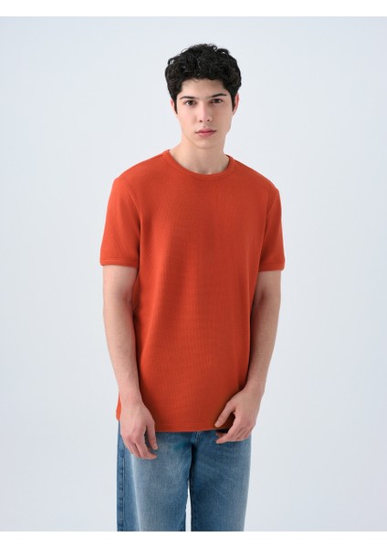Regular Fit Erkek Tshirt K.kol