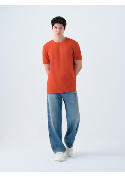 Regular Fit Erkek Tshirt K.kol