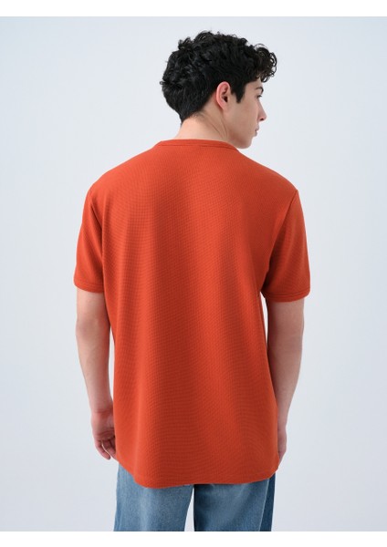 Regular Fit Erkek Tshirt K.kol