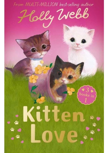 Holly Webb Animal Stories:kitten Love A Collection Of Stories (Lost In The Storm, The Curious Kitten,the Homeless Kitten)