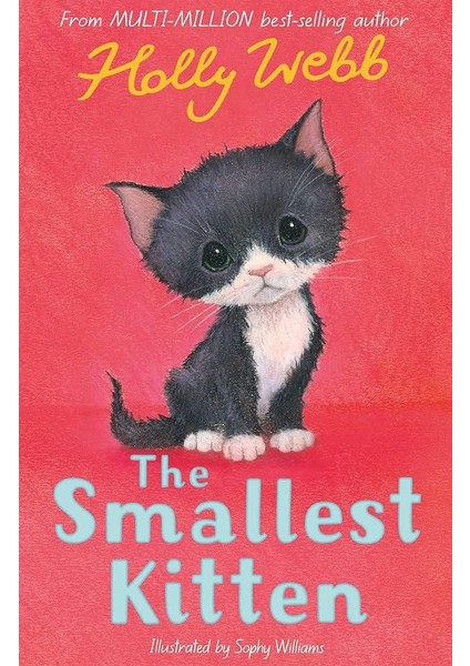 Holly Webb Animal Stories: The Smallest Kitten