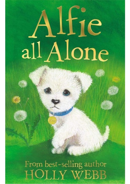 Holly Webb Animal Stories: Alfie All Alone