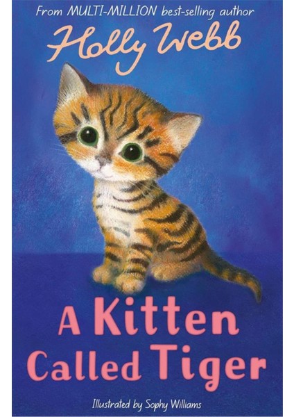 Holly Webb Animal Stories: A Kitten Called Tiger