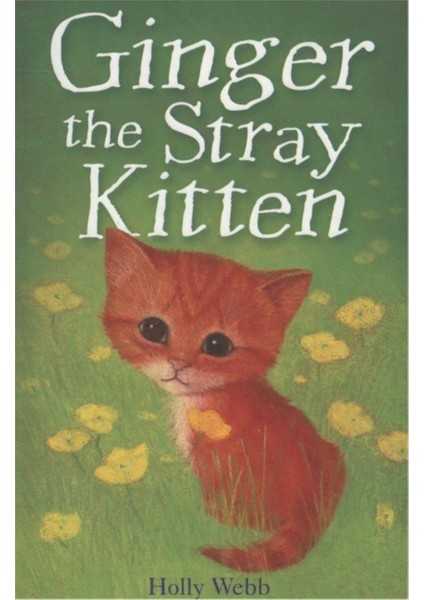 Holly Webb Animal Stories: Ginger The Stray Kitten