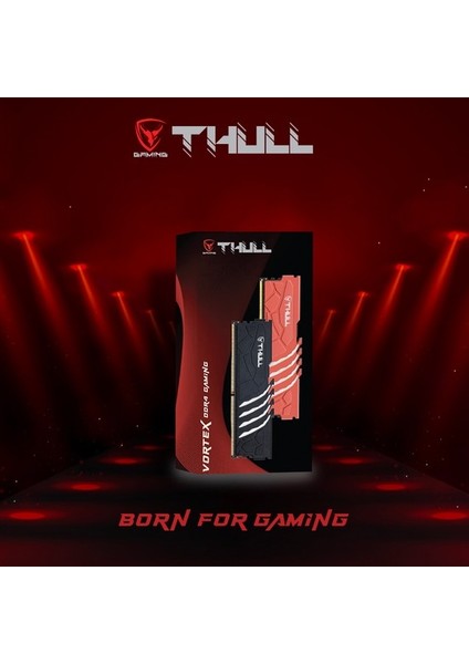 Vortex 16GB 5600MHZ CL46 1.1V Black Heatsınk Ddr5 Udımm Ram THL-PCVTX44800D5-16G-B