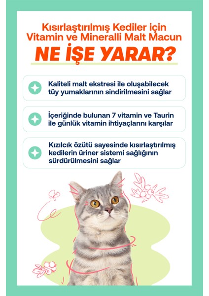 Kısırlaştırılmış Kediler İçin Tüy Sağlığı ve Besleyici Destek Seti: 100g Malt Macun + Biotinli Damla