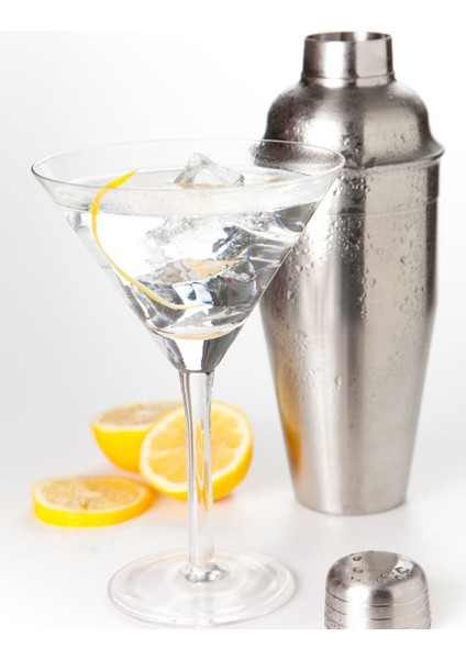 Komple Çelik 700ML Shaker Kokteyl Karıştırıcı Hazırlama Kabı Bardağı modelleri