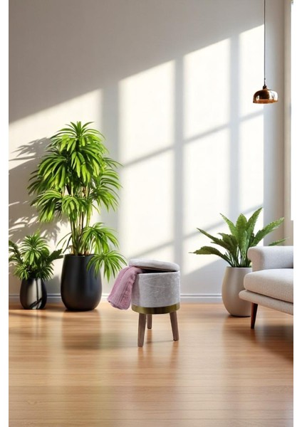 Mini Bej Krem Baby Puf Kadife Kumaş Dekoratif Sandıklı Ahşap Ayaklı 40x25 Cm fırsatları