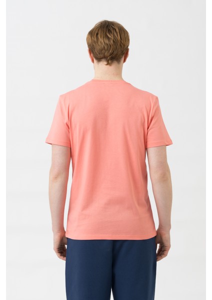 Erkek Tshirt BNT-M21182