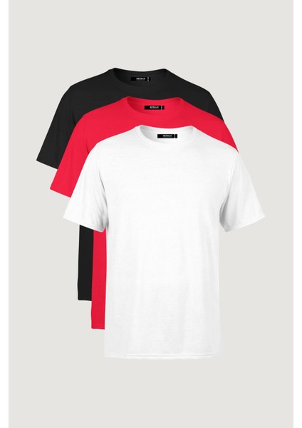 Erkek Çok Renkli T- Shirt Regular Fit Rahat Kesim Bisiklet Yaka 3'lü Basic Tişört Paketi