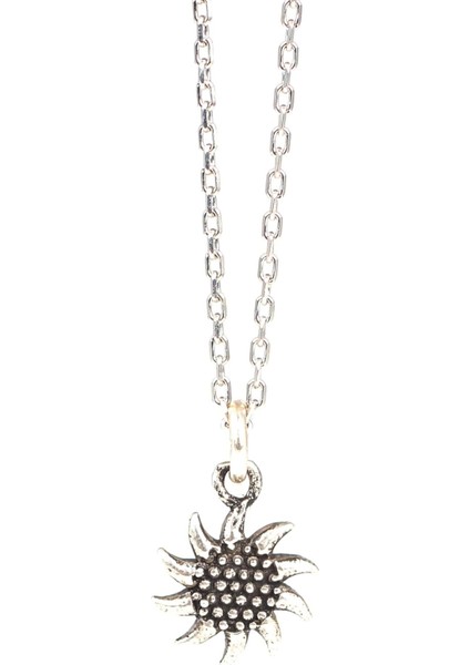 925 Ayar Gümüş Minik Güneş Kolye fiyatları