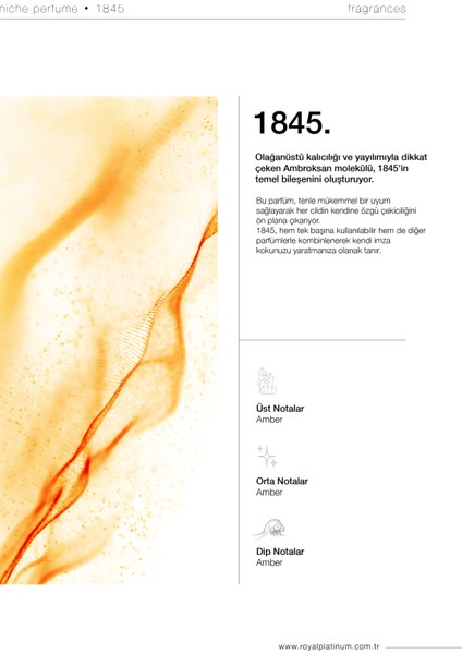 NC18 1845 50ML Nıche