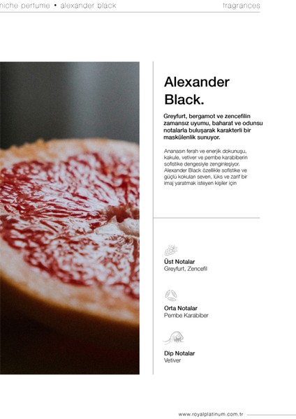 Ncab Alexander Black 50ML
