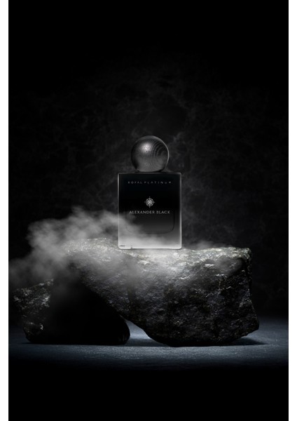 Ncab Alexander Black 50ML